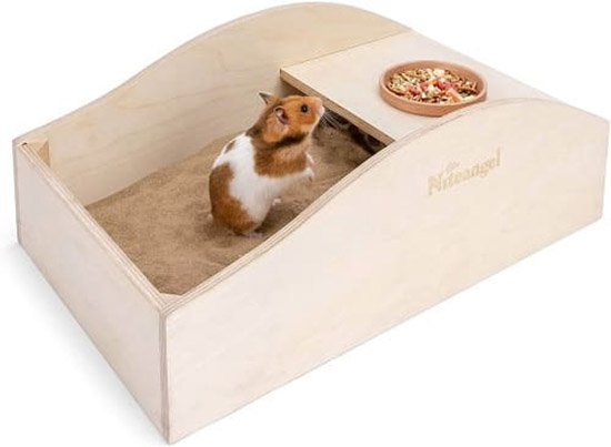 Cân đối lượng thức ăn phù hợp cho chuột Hamster  là cách giúp hamster không bị hôi