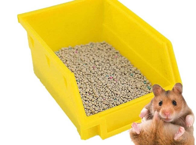 Một số loại lót chuồng cho chuột hamster
